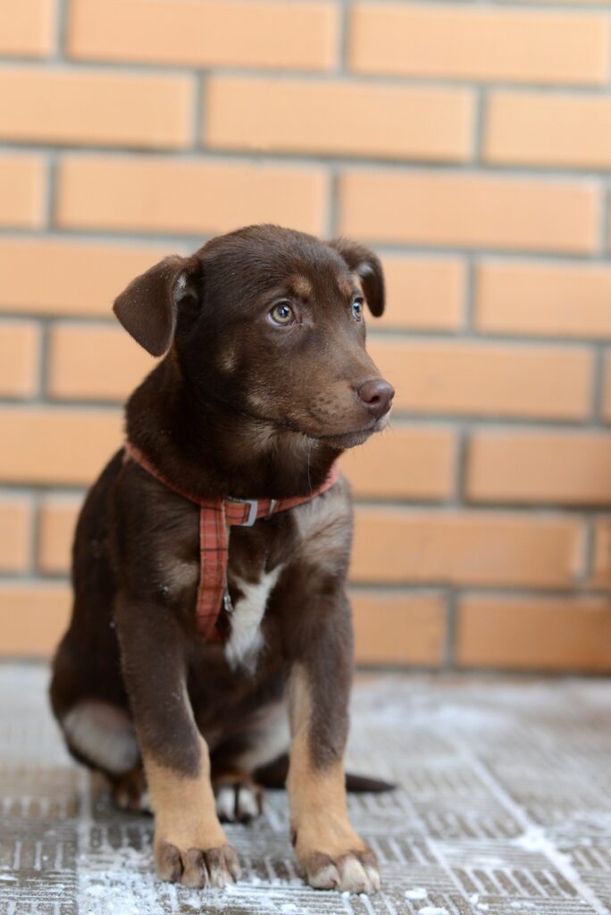 Лора. 3 Лора.